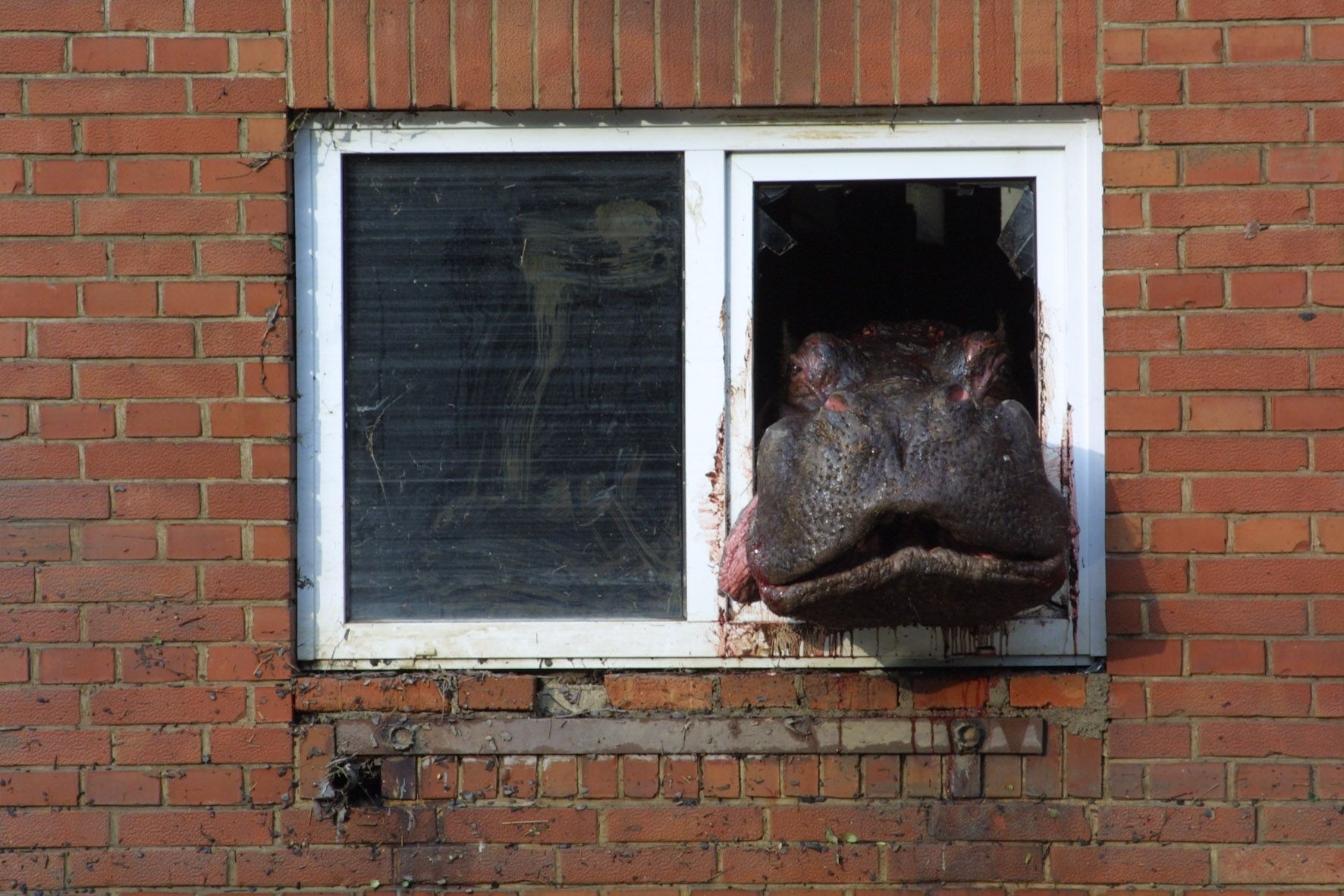 Foto: Tisíc zvířat muselo pryč. Před dvaceti lety voda zaplavila polovinu pražské zoo