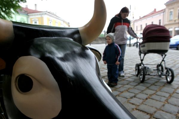 V mlékomatech se sice prodává čerstvé syrové mléko, krávy u nich ale živé nejsou. Tahle u automatu v Holešově je vlastně lavička a chlapec na fotografii si stěžuje, že "nejezdí." | Foto: Karel Toman