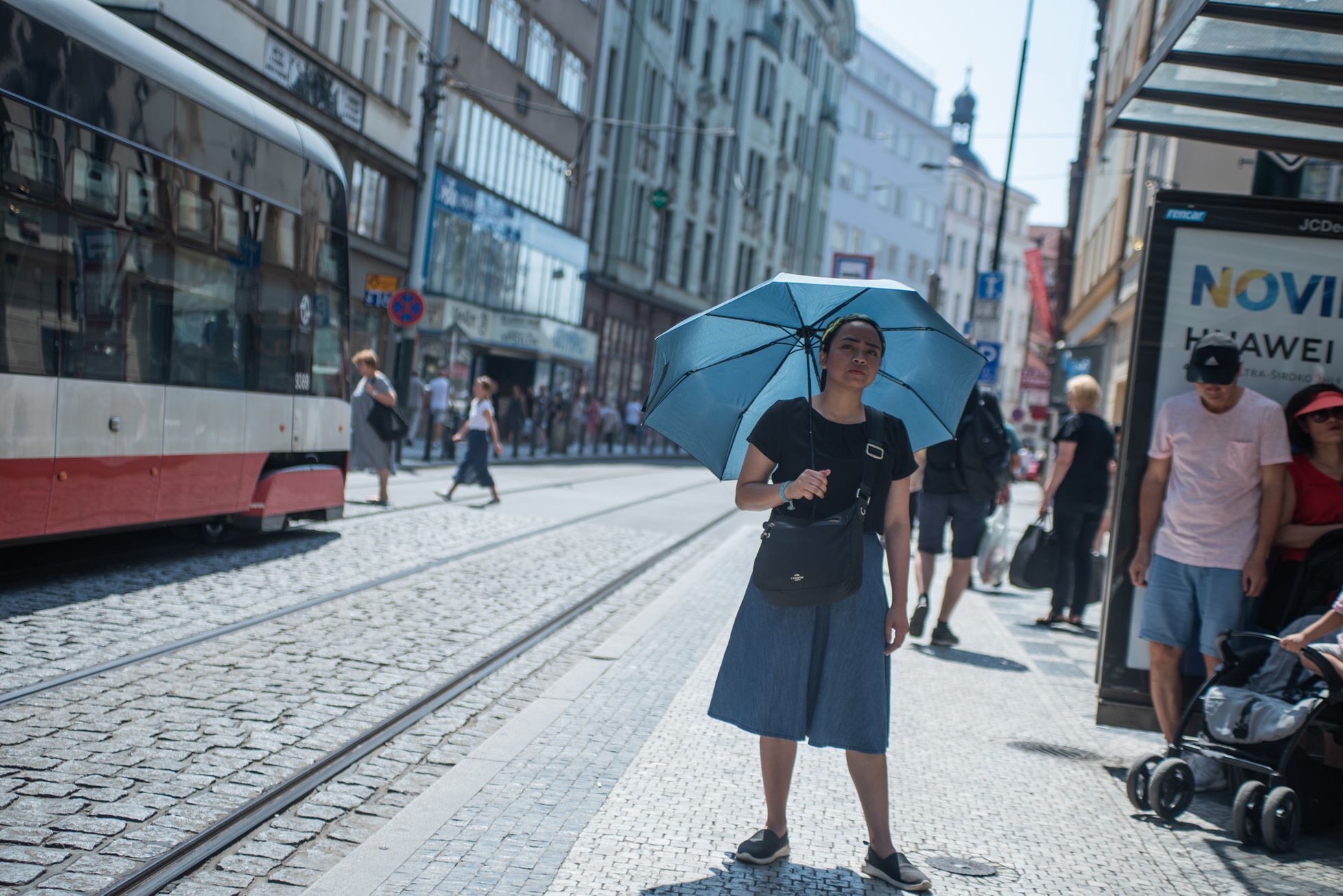 Vědec: Praha je jako topeniště. Ochladí ji stromy, ale sázet jich milion je nesmysl - Aktuálně.cz