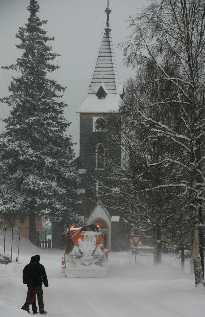 Foto: Dana Zývalová, Národní park Šumava