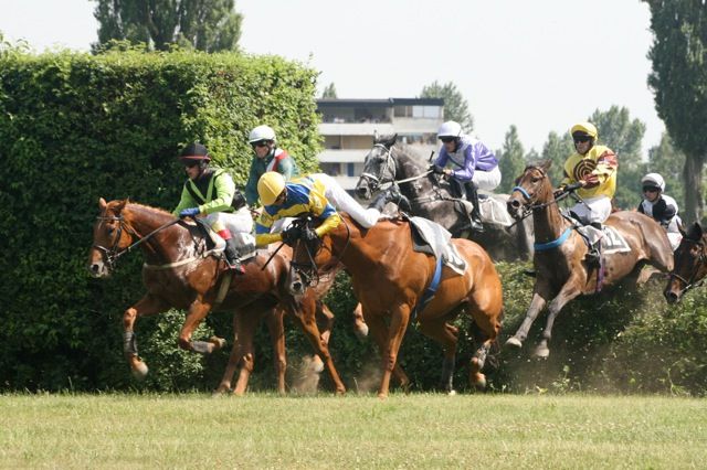 Foto: Aktuálně.cz