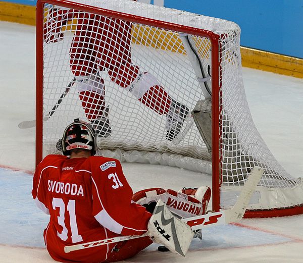 "Jsem ostuda českého hokeje," sypal si domácí gólman Adam Svoboda po utkání popel na hlavu. | Foto: Tomáš Adamec, Aktuálně.cz