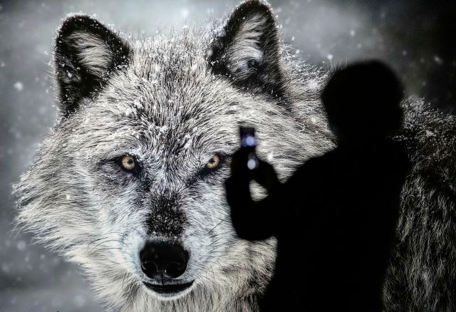 Foto: ČTK/AP/Martin Meissner