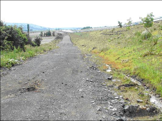 Pozemky autodromu o rozloze zhruba 3,6 ha jsou v areálu bývalého vojenského cvičiště u rychlostní komunikace Karlovy Vary - Chomutov. | Foto: Ministerstvo obrany ČR