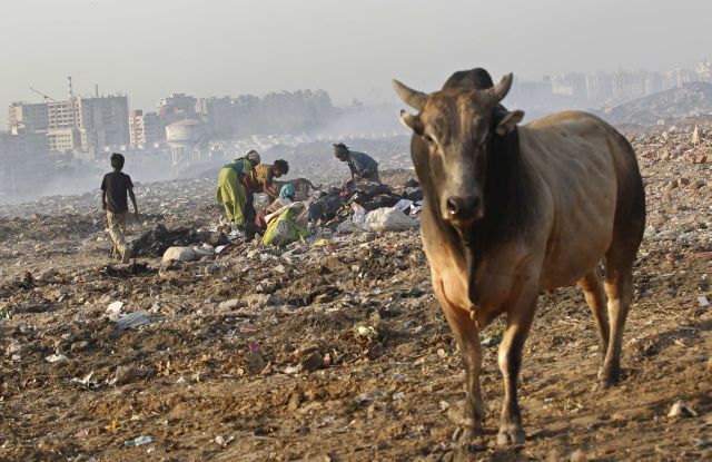 Lidé a zvířata na jedné z četných skládek v Dillí. | Foto: Reuters