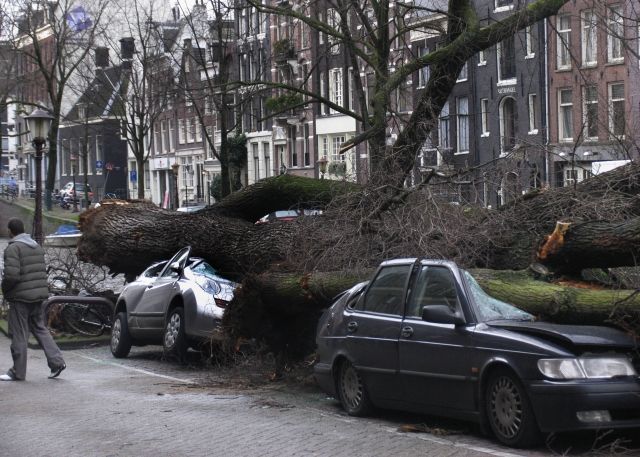 Následky větru v Nizozemí. | Foto: Aktuálně.cz