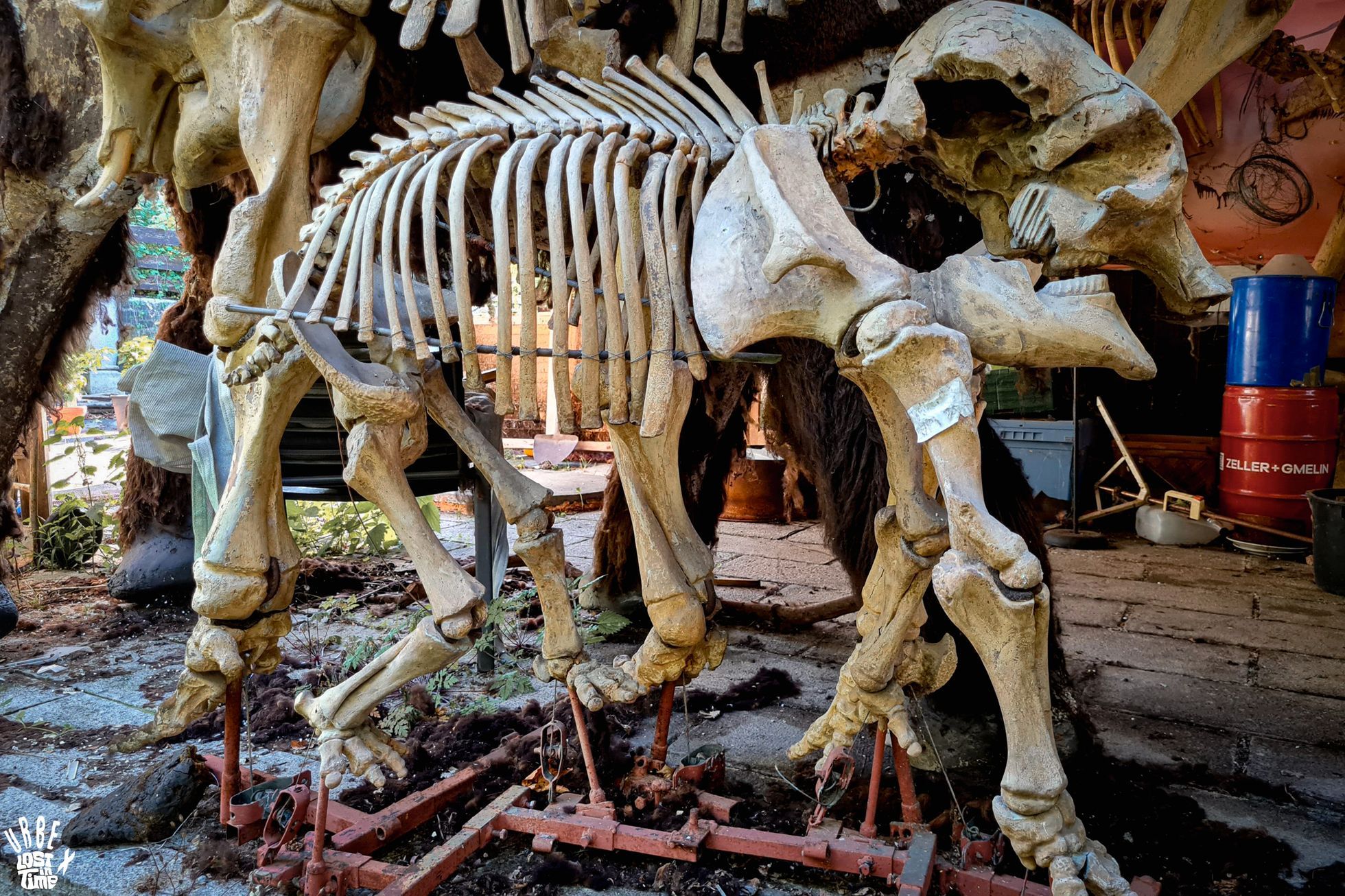 Konec jednoho snu. Jak Mamutheum tiše pohřbilo svého génia i jeho tragický osud