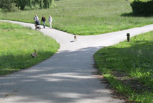 Stromovku oběšli kolem dokola. Kromě psa Savana kolem nich pobíhal i druhý jménem Siko. | Foto: Ondřej Besperát, Aktuálně.cz