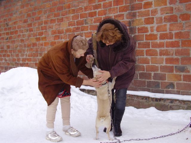 Foto: Martin Novák