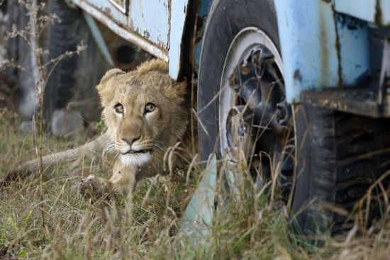 Foto: Reuters