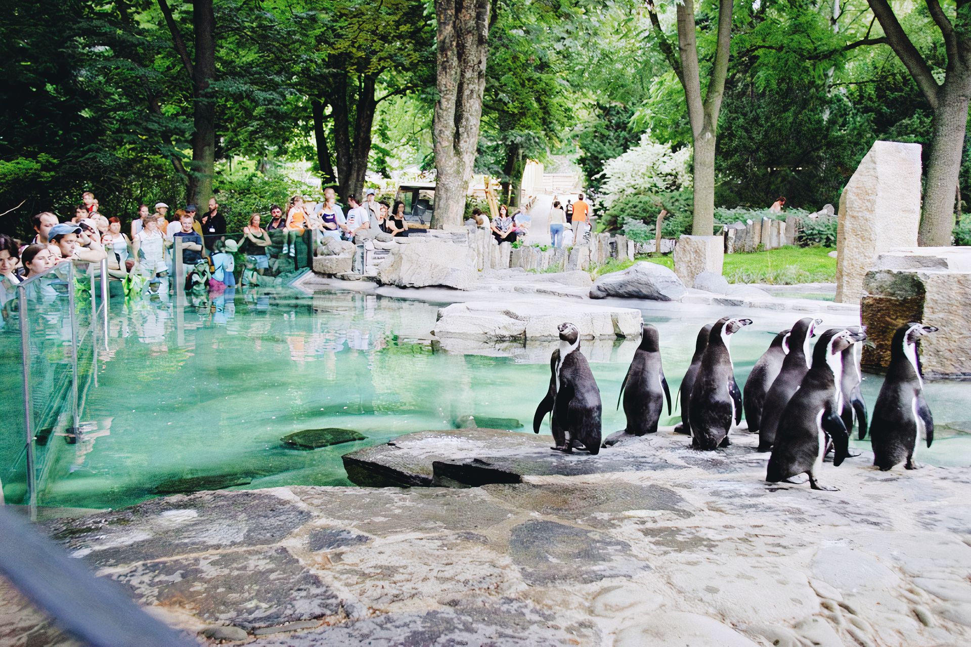 Чешский зоопарк прага. Пражский зоопарк прага. Пражский зоопарк (чехия) фото. Площадь зоопарка в праге. Зоопарк в чехии самый большой.