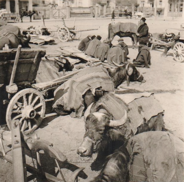 Po válce se komunistický režim snažil romské obyvatelstvo rovnoměrně rozptýlit po Československu. Mnoho Romů přišlo ze Slovenska. | Foto: The Robert Dawson Romany Collection