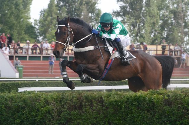 Koně ve 122. Velké pardubické | Foto: Václav Volf / fotovolf.com