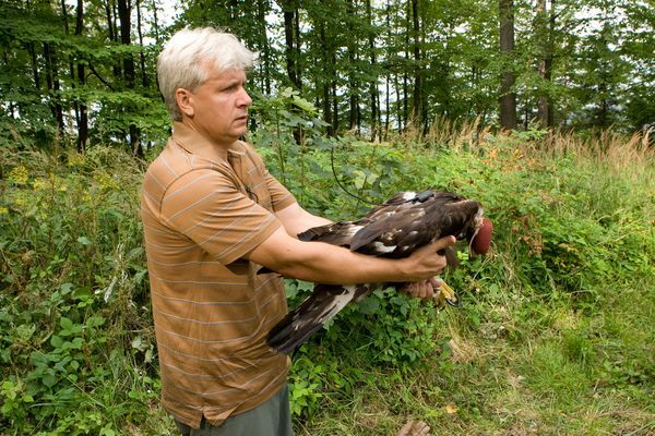 Nakonec ji Petr Orel a Lubomír Peške opravili. | Foto: Petr Sznapka