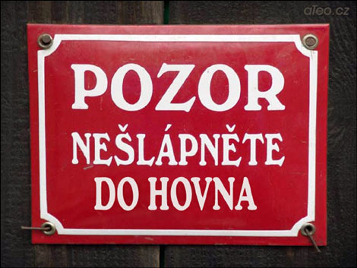 Слова На Чешском Смешные