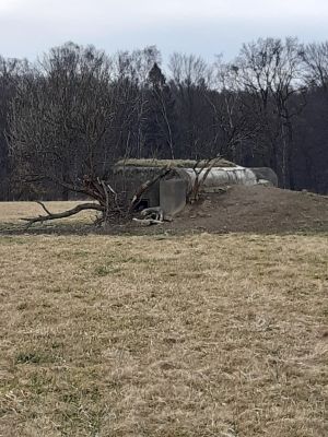 Další bunkr poblíž chotěbuzské obory. Zájemce o koupi vyjde minimálně na 13 tisíc korun. | Foto: Ministerstvo obrany ČR