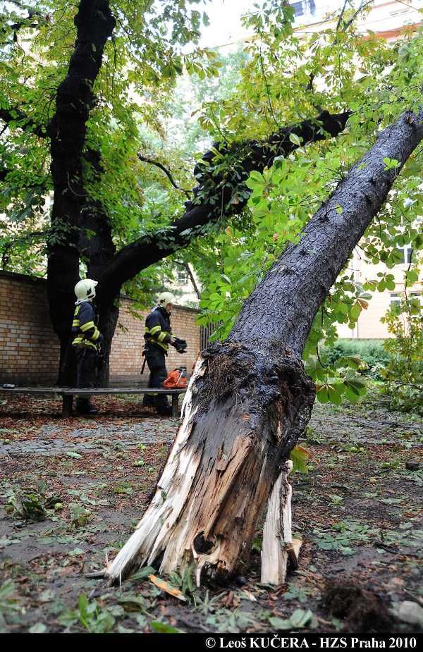 Déšť a silný vítr polámal i několik stromů. Zahrada u koncertní a výstavní síně Atrium na Žižkově. | Foto: Leoš Kučera