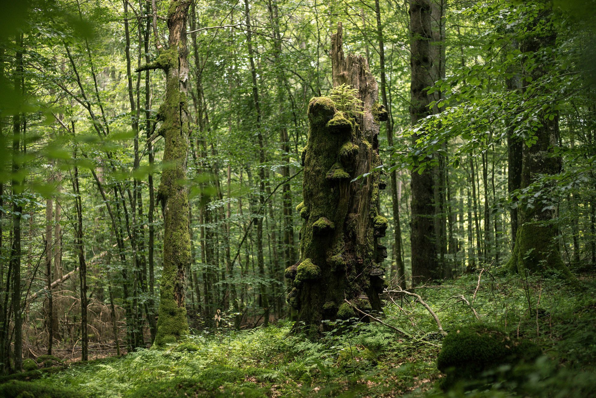 Fotogalerie: Jakub Plíhal – TOP fotografie za rok 2020