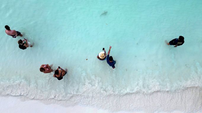 Thajská zátoka Maya Bay, kde turisté pozorují žraloky černoploutvé.