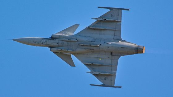 Na základě nového kontraktu platného od roku 2027 bude mít česká armáda už jen 12 gripenů. Jejich pronájem skončí v roce 2035.