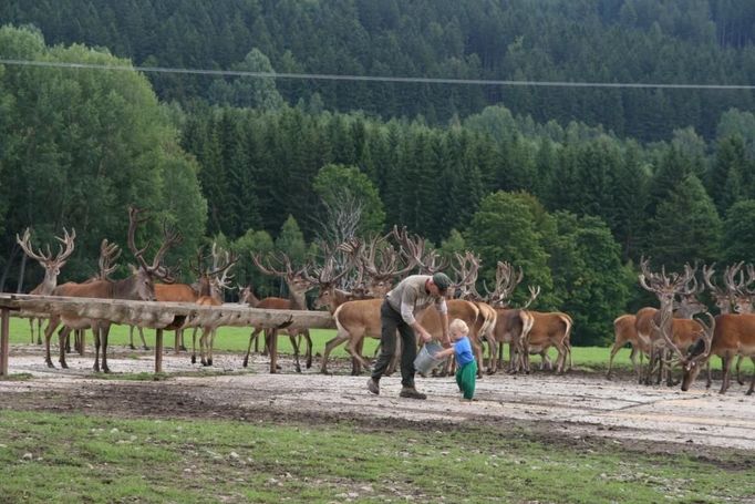 ...a hned "za rohem" je pak rovnou i jelení obora.