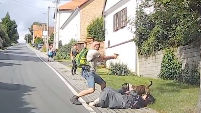 Plzeňský strážník při napadení psem použil zbraň