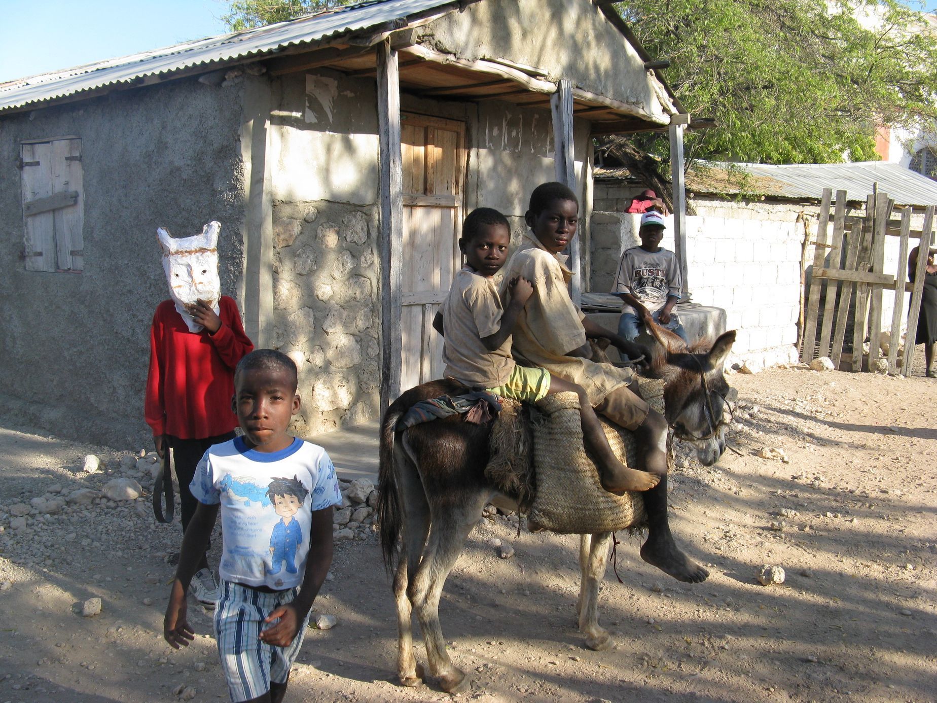 Česká humanitární pomoci na Haiti