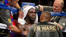 Deontay Wilder vs. Bermane Stiverne