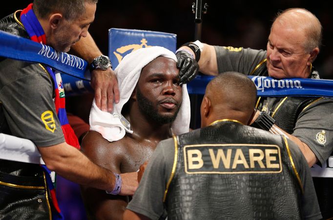 Deontay Wilder vs. Bermane Stiverne