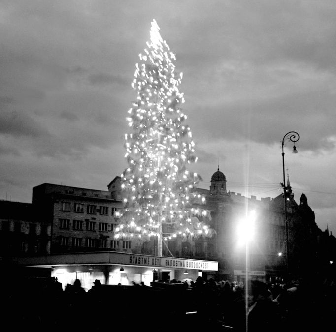 Vánoční strom na  náměstí Svobody v Brně. Rok 1948