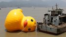 WENZHOU, CHINA - JULY 01: (CHINA OUT) People set up a scaled replica of the rubber duck, originally created by Dutch conceptual artist Florentijn Hofman, on a river on July 1, 2013 in Wenzhou, Zhejiang province of China.