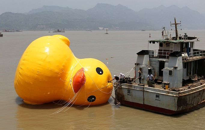 WENZHOU, CHINA - JULY 01: (CHINA OUT) People set up a scaled replica of the rubber duck, originally created by Dutch conceptual artist Florentijn Hofman, on a river on July 1, 2013 in Wenzhou, Zhejiang province of China.