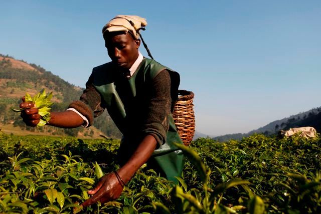 Rwanda před prezidentskými volbami