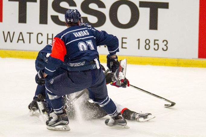 CHL, Vítkovice-Fribourg: Michael Vandas