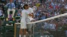 Djokovič vs. Del Potro, semifinále Wimbledonu 2013.