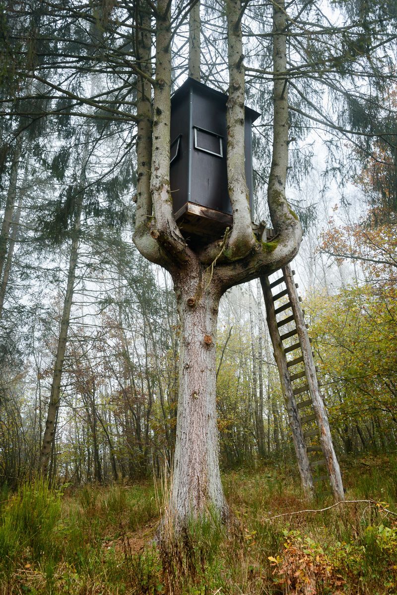 Lovec posedů / Fotogalerie / Posedy jak je určitě neznáte. Nechte se uhranout géniem myslivecké tvořivosti