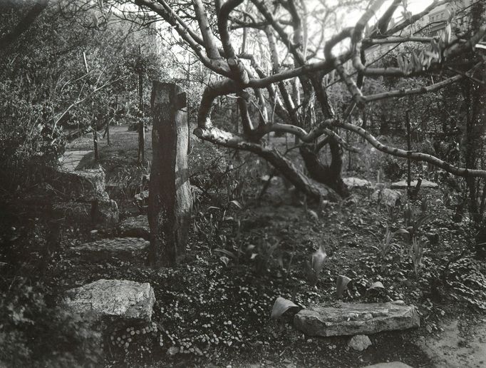 Josef Sudek: A hudba hraje. Fotografie z výstavy v Atelieru Josefa Sudka.