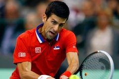 Djokovič se trápil, ale Srbové vedou v Davis Cupu 2:0