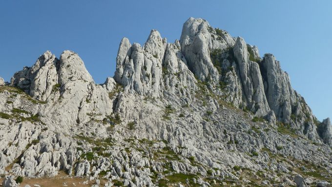 Tulove Grede Chorvatsko.