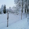 Zasněžené Česko očima čtenářů Aktuálně.cz