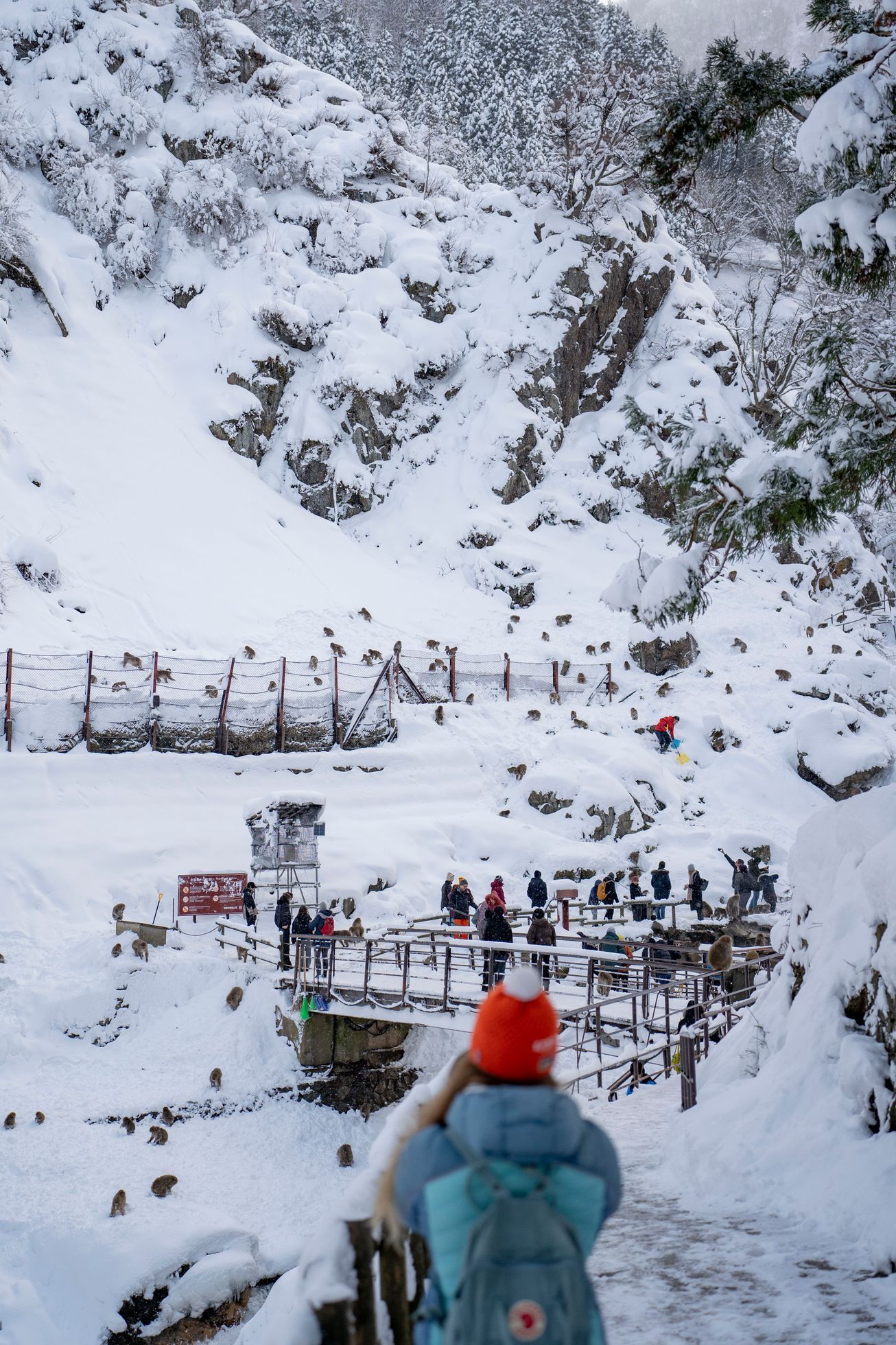 japonsko lyžování hakuba