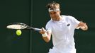 Wimbledon 2017: David Ferrer