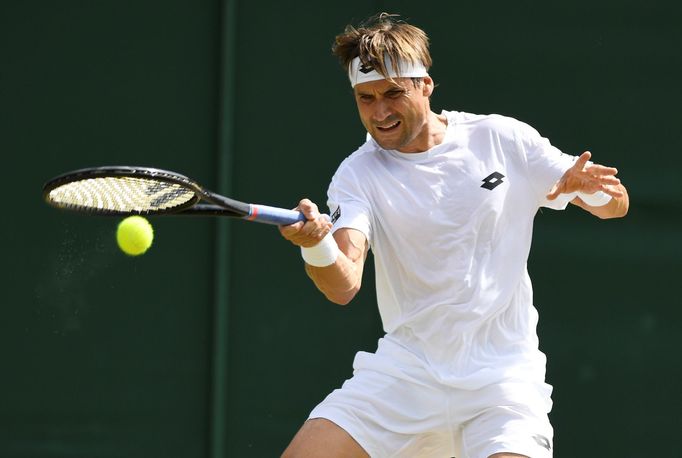 Wimbledon 2017: David Ferrer