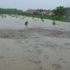 Povodně - Otrokovice - 2010