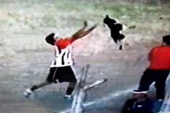 VIDEO Fotbalista dostal červenou kartu za týrání psa