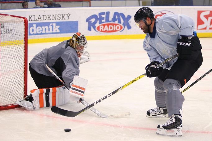 Radko Gudas, Michal Neuvirth