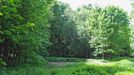 Mařížský park. V této přebujelé zeleni by hledal park málokdo. Slavonice-Maříž (Jihočeský kraj).