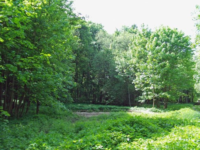 Mařížský park. V této přebujelé zeleni by hledal park málokdo. Slavonice-Maříž (Jihočeský kraj).