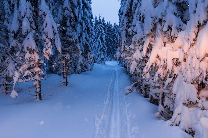 Zasněžená Šumava pohledem z rolby