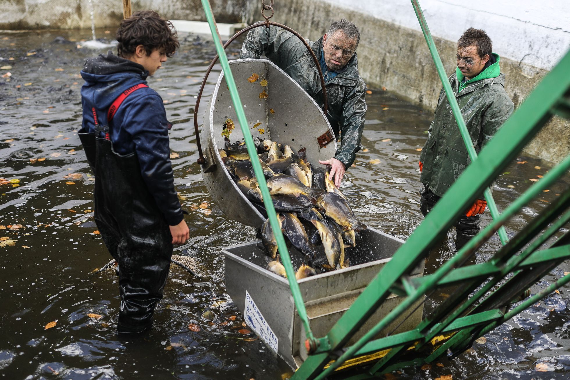 Podnikatel Jan Čulík, Tábor, výlov kaprů, biokapr, vaření, kuchyně, restarauce, gastro